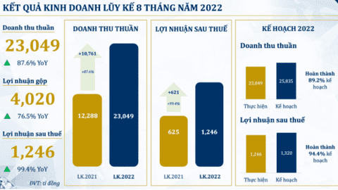PNJ báo lãi ròng 1.246 tỷ đồng sau 8 tháng đầu năm, gần gấp đôi cùng kỳ