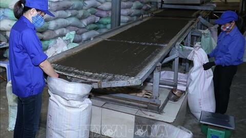 Doanh nghiệp xuất khẩu tập trung tìm thị trường mới