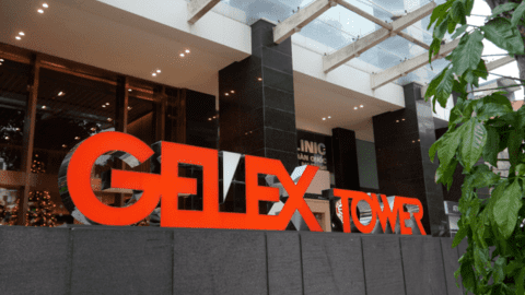 Năm 2022, doanh thu thuần của GELEX đạt 32.090 tỷ đồng