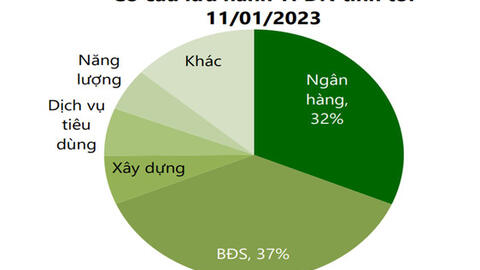 Năm 2023 là giai đoạn đẩy mạnh các hoạt động tái cấu trúc trên thị trường trái phiếu doanh nghiệp