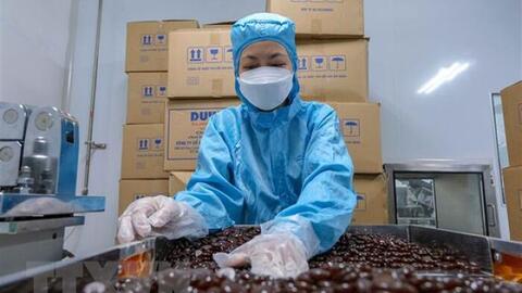Dự báo tăng trưởng lợi nhuận doanh nghiệp dược giảm tốc trong 2023