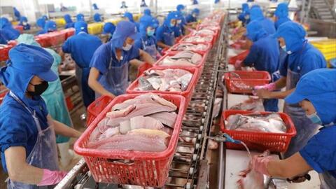 VNDirect: Xuất khẩu thủy sản sang Mỹ có thể đã đi qua 'vùng trũng', le lói dấu hiệu phục hồi