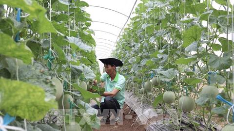 Kinh tế tuần hoàn: “Động lực” mới cho tăng trưởng