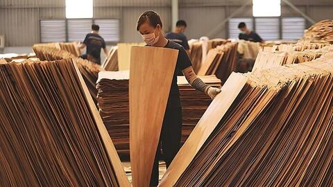 Xuất khẩu gỗ sắp qua giai đoạn khủng hoảng, doanh nghiệp lên dây cót sẵn sàng 'chạy'