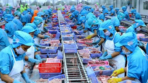 Vasep: Thị trường xuất khẩu thủy sản khó hồi phục trước cuối năm 2023