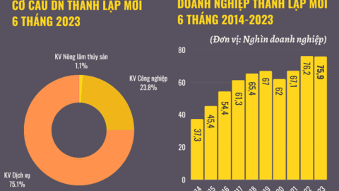 Infographic: Bức tranh doanh nghiệp 6 tháng đầu năm 2023 và những con số nổi bật