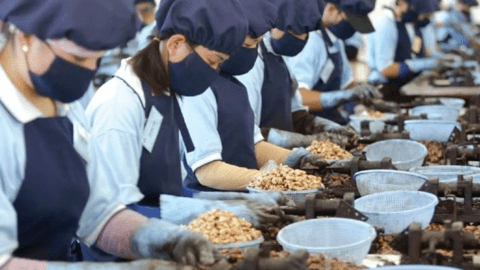 7 mặt hàng nông nghiệp xuất khẩu tỷ USD trong nửa đầu năm 2023