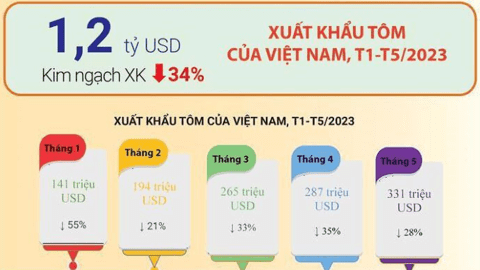 Xuất khẩu tôm tháng 5/2023: Tín hiệu khả quan từ thị trường ngách, thị trường lớn dự báo nhích nhẹ về cuối năm