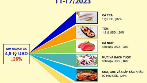 Ước xuất khẩu cá tra đạt tỷ USD trong 7 tháng, kỳ vọng 1,8 tỷ USD cho cả năm có khả thi?