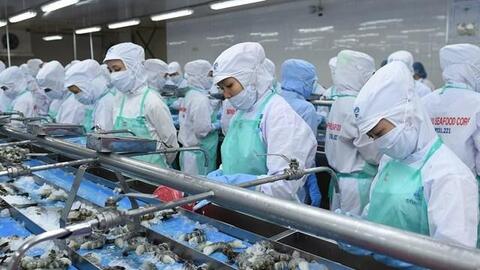 Thu về hơn 22 triệu USD, Sao Ta (FMC) có tháng tăng trưởng dương đầu tiên trong năm