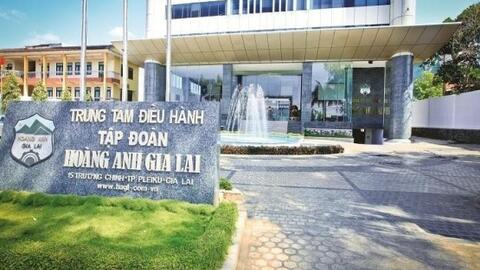 Cổ đông HAGL tiếp tục thông qua phương án huy động 1.300 tỷ đồng