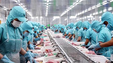 9 tháng, xuất khẩu thuỷ sản sang thị trường nào thu về tỷ USD?