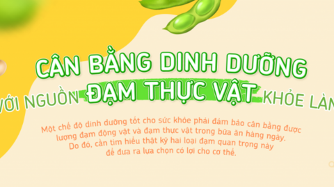 Những điều cần biết về đạm, bí quyết sống khỏe với đạm thực vật