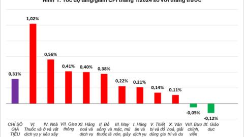 Yếu tố nào thúc đẩy CPI tháng đầu năm 2024 tăng 0,31%?