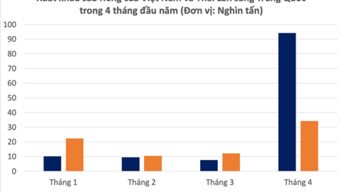 Sầu riêng Việt Nam liệu có cửa lấy lại ngôi vương tại Trung Quốc?