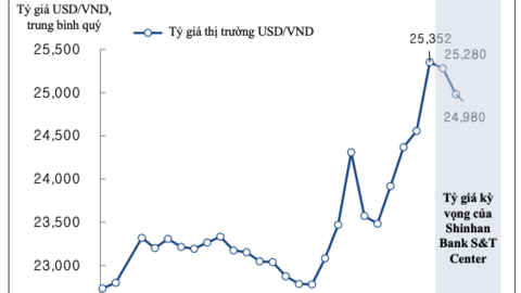 Shinhan Bank: 'Tỷ giá sẽ đạt đỉnh vào quý III rồi hạ nhiệt'