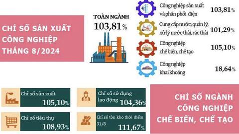 Kinh tế Đà Nẵng 8 tháng: Doanh thu du lịch tăng gần 50%, chỉ số sản xuất ngành khai khoáng giảm mạnh
