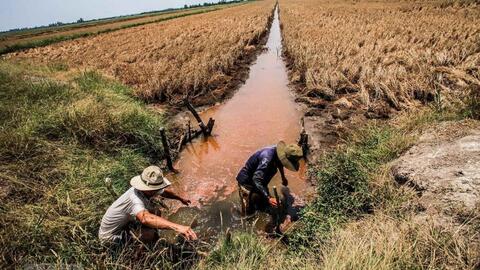Chủ động phòng, chống hạn hán, thiếu nước, xâm nhập mặn
