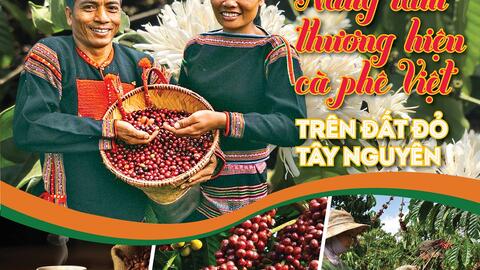 Nâng tầm thương hiệu cà phê Việt trên đất đỏ Tây Nguyên