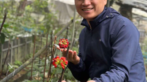 Tổng Giám đốc Lê Đức Tài: Từ kỹ sư xây dựng đến hành trình khôi phục tinh hoa y học cổ truyền Việt Nam