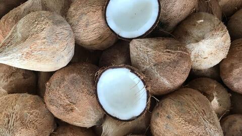 Nhập khẩu dừa chế biến tăng 11,3 lần