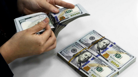 Tỷ giá USD hôm nay 19/06/2025: Tỷ giá trung tâm giảm