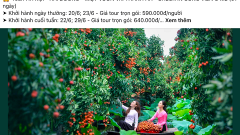 Du lịch nông sản 0 đồng ‘hút khách’ mùa hè