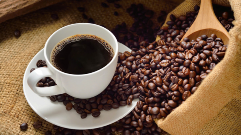 Giá cà phê Robusta quay đầu phục hồi về mức 3.904 USD/tấn