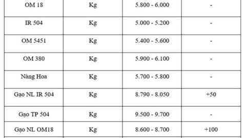 Giá lúa gạo hôm nay ngày 20/10: Gạo nguyên liệu xuất khẩu tăng