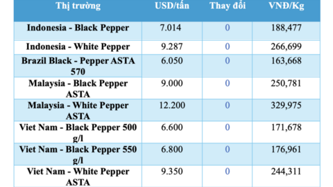 Giá tiêu hôm nay 16/3/2026: Dao động từ 142.500 - 144.500 đồng/kg