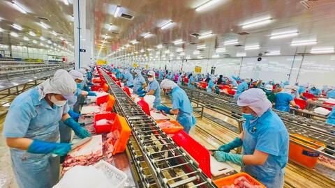 ‏Tiền tệ và tài khóa: Tạo “lá chắn” cho xuất khẩu nông sản ‏