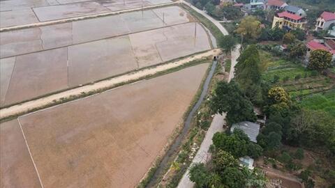 Quy định xử lý khi diện tích đất nông nghiệp vượt hạn mức