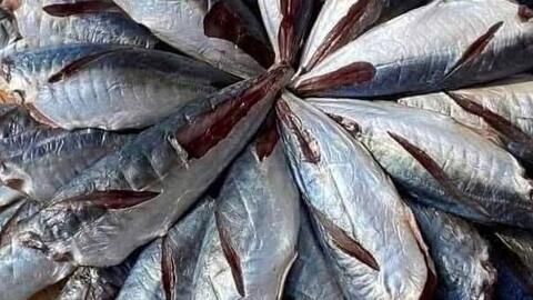 Bổ sung omega-3 từ cá nục bằng chế biến đúng cách