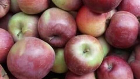 Ăn táo để hỗ trợ thải độc gan: Nên hiểu đúng