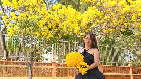 Mùa hoa phong linh vàng rực rỡ ở phố biển Vũng Tàu