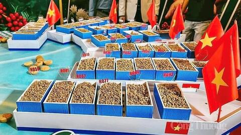 Nâng tầm giá trị cà phê Robusta Gia Lai