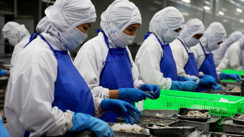 EU siết tiêu chuẩn bao bì: Doanh nghiệp đối mặt áp lực chuyển đổi