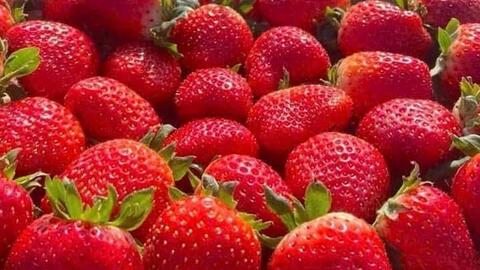 Cách chọn loại trái cây làm da đẹp nhất