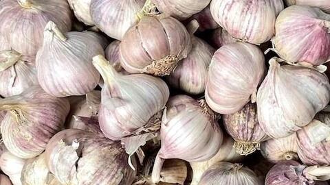 Một tép tỏi mỗi ngày có thể giúp bảo vệ trái tim ra sao