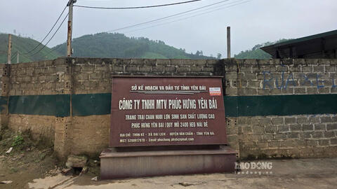 Nguy cơ ô nhiễm môi trường từ trại lợn quy mô 2.400 heo nái tọa ngay trên đỉnh đồi