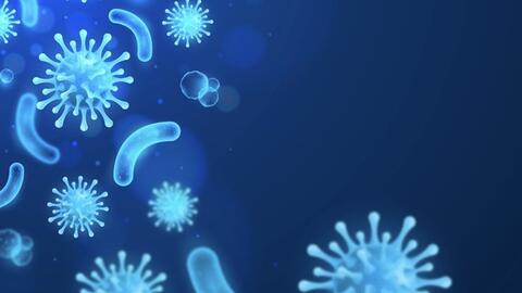 Men vi sinh tồn tại trong cơ thể bao lâu