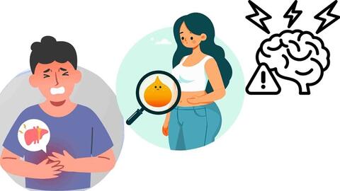 Gan quá tải, nguy cơ tích mỡ nội tạng vì một thói quen