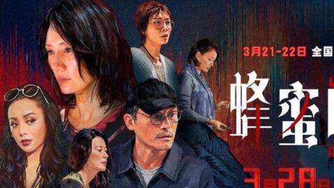 Triệu Vy và lý do từng thất bại phòng vé