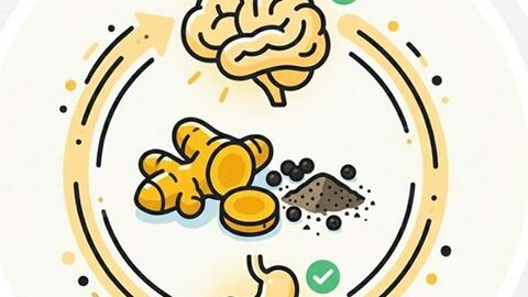 Nghệ và tiêu đen hỗ trợ toàn diện từ tiêu hóa đến não bộ