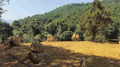 Kiên quyết xử lý san gạt, lấn suối tự nhiên trên đèo Bảo Lộc sau phản ánh của Báo Lao Động