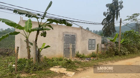 Cụm công nghiệp 860 tỉ đồng ở Lào Cai hoàn thành 99% giải phóng mặt bằng