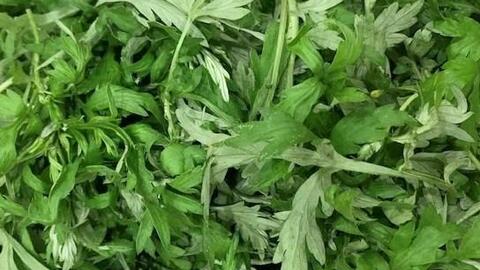 Đào thải axit uric bằng rau thảo mộc