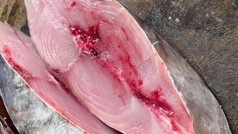 Giúp giảm khô, mỏi mắt bằng các món ăn chế biến từ cá béo