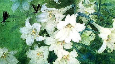 'Ám ảnh tháng tư' gửi vào cõi nhớ ngày Thanh minh