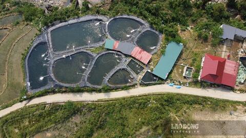 Sẽ xử lý dứt điểm trại cá tầm không phép án ngữ đầu nguồn suối Tà Xùa